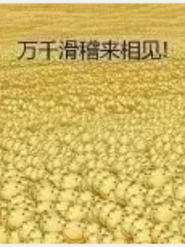 啥都没有，别看了