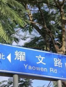 盛開于玫瑰之地（時(shí)代少年團(tuán)）