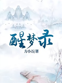 醒夢錄