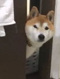 六爻：同人短篇合集