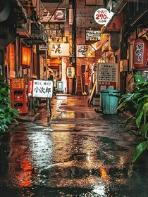 总被失望填满
