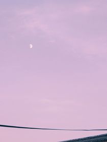 溺水的爱
