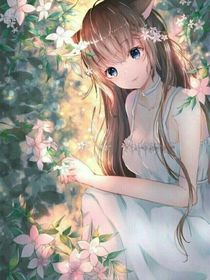嫣寶的日常生活