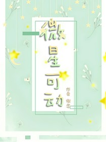 微星可动
