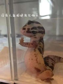 当初何必