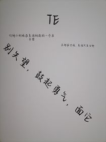 TE