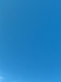 水默天降小萌宝