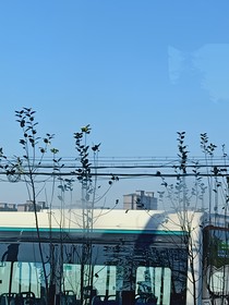 她好像不喜欢我
