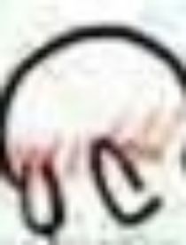 小時的短篇小說合集