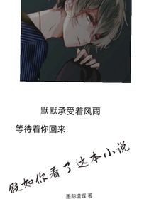 假如你看了這本小說