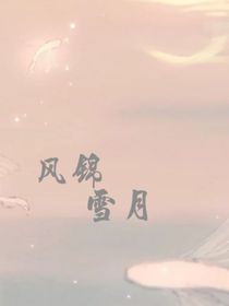 風(fēng)錦雪月