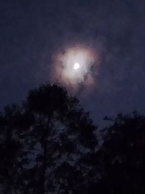 最后短暫的暗戀時光