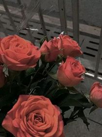 繁花重回