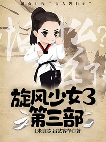 旋风少女3第三部