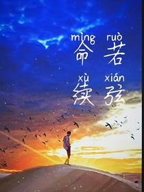 命若续弦