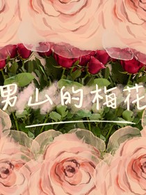 男山梅花