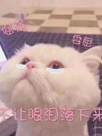 哥哥你最好啦