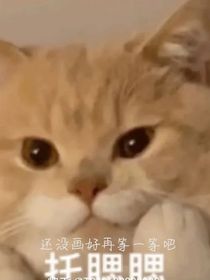 金锦梦