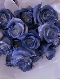 花语记录馆