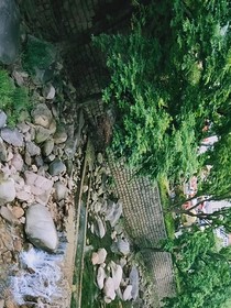 恋你，如初