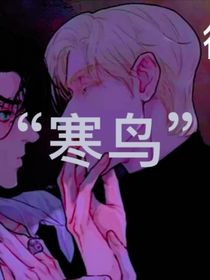 寒鸟