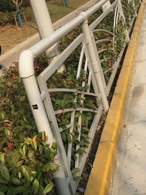 小花仙：前緣后續(xù)
