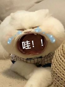 男主死亡后转生