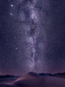 幽灵昙花