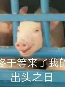 致那些年岁那些爱意