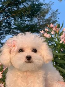 不知何时是尽头