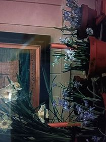 不样的烟火