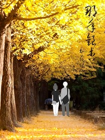 那年银杏