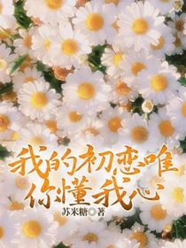 我的初恋唯你懂我心