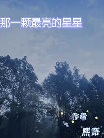 那一顆最亮的星星——d713