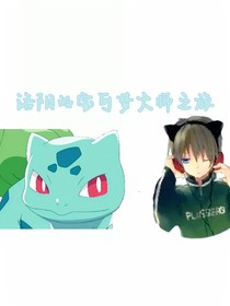 宝可梦之洛阳的大师之旅