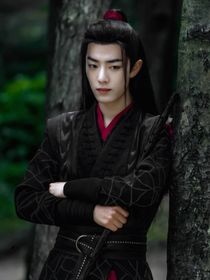 陈情令：之一生无忧
