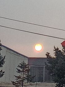 王三岁小孩