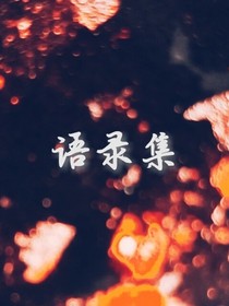 语录集……