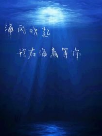 海风随起，我在海底等你
