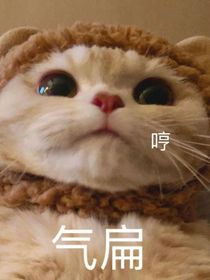 快穿别总让我走搞笑风
