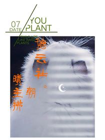 德云社之曦主拂朝