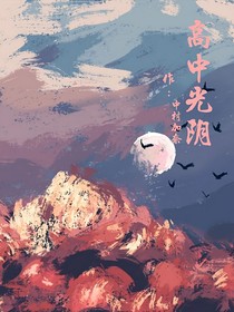 高中光阴