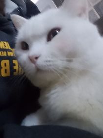 应该是我的想象