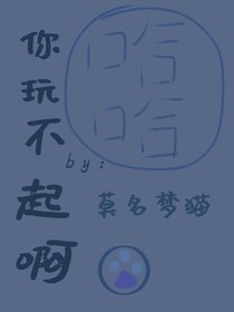 你玩不起啊！