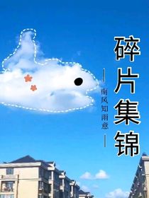 碎片集锦