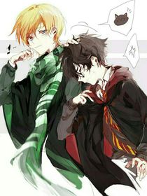HP：哈利波特之伏地魔的养子