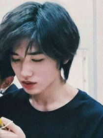 关于我穿到自己的书里