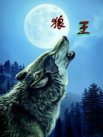 新的狼王