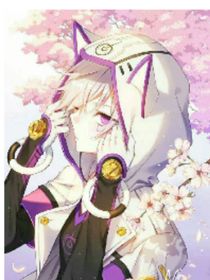 光辉战绩