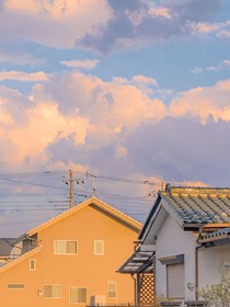 重生后冷情总裁求她别离婚